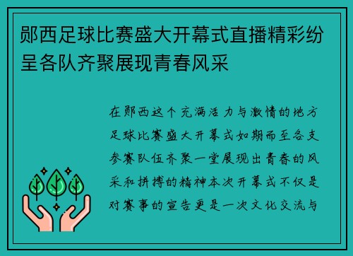 郧西足球比赛盛大开幕式直播精彩纷呈各队齐聚展现青春风采